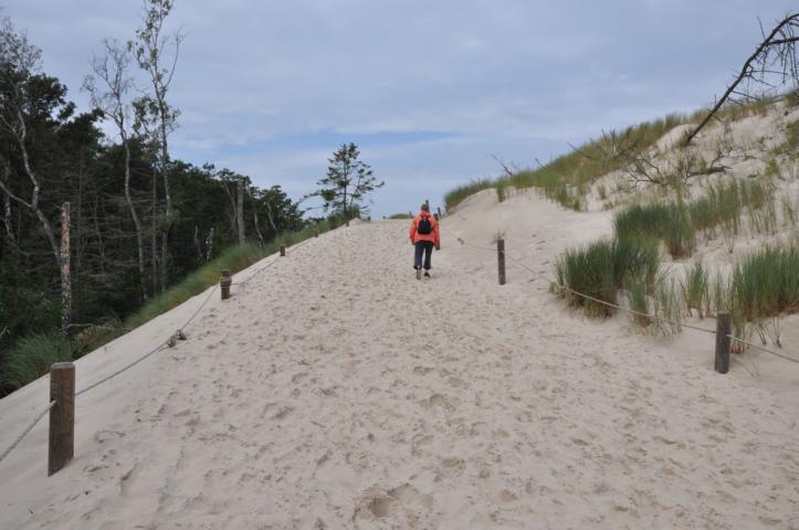 Die Wanderdüne im Slowinski-Nationalpark in Leba