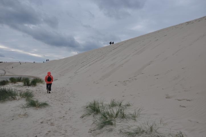 Die Wanderdüne in ihren Ausmaßen