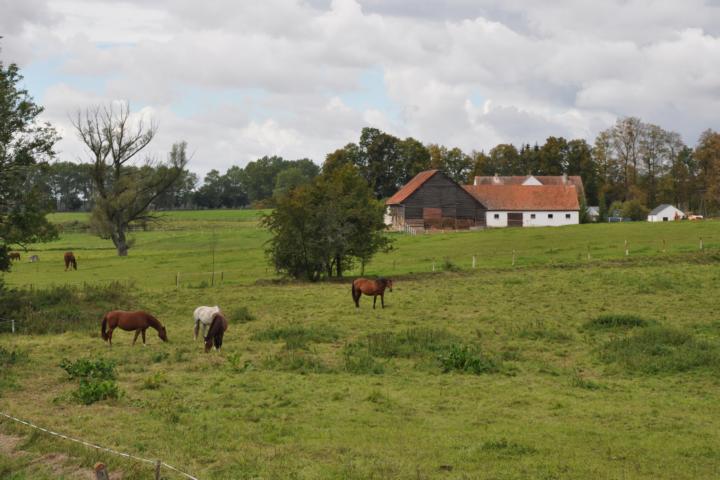 Masurische Landschaft